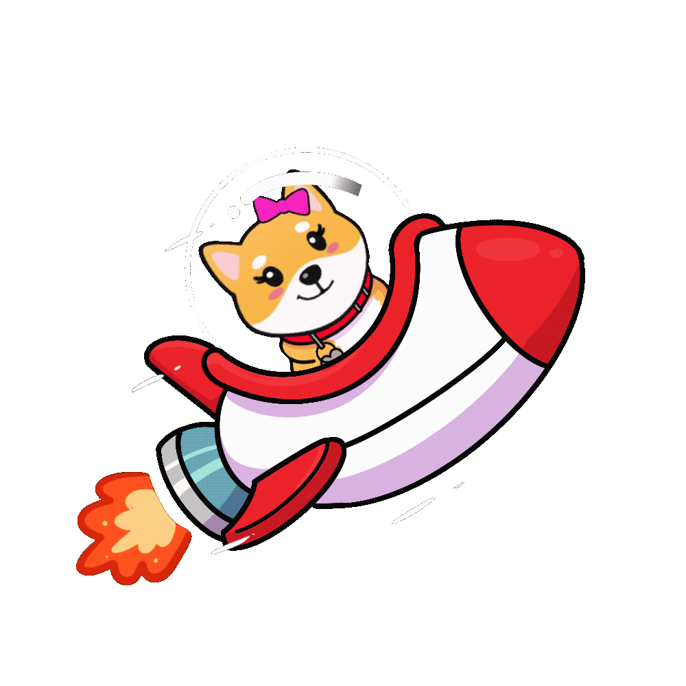 MOMO rocket